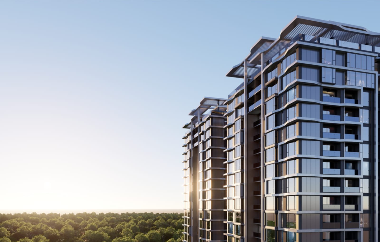 WhatsApp-Image-2024-09-02-at-16.46.01