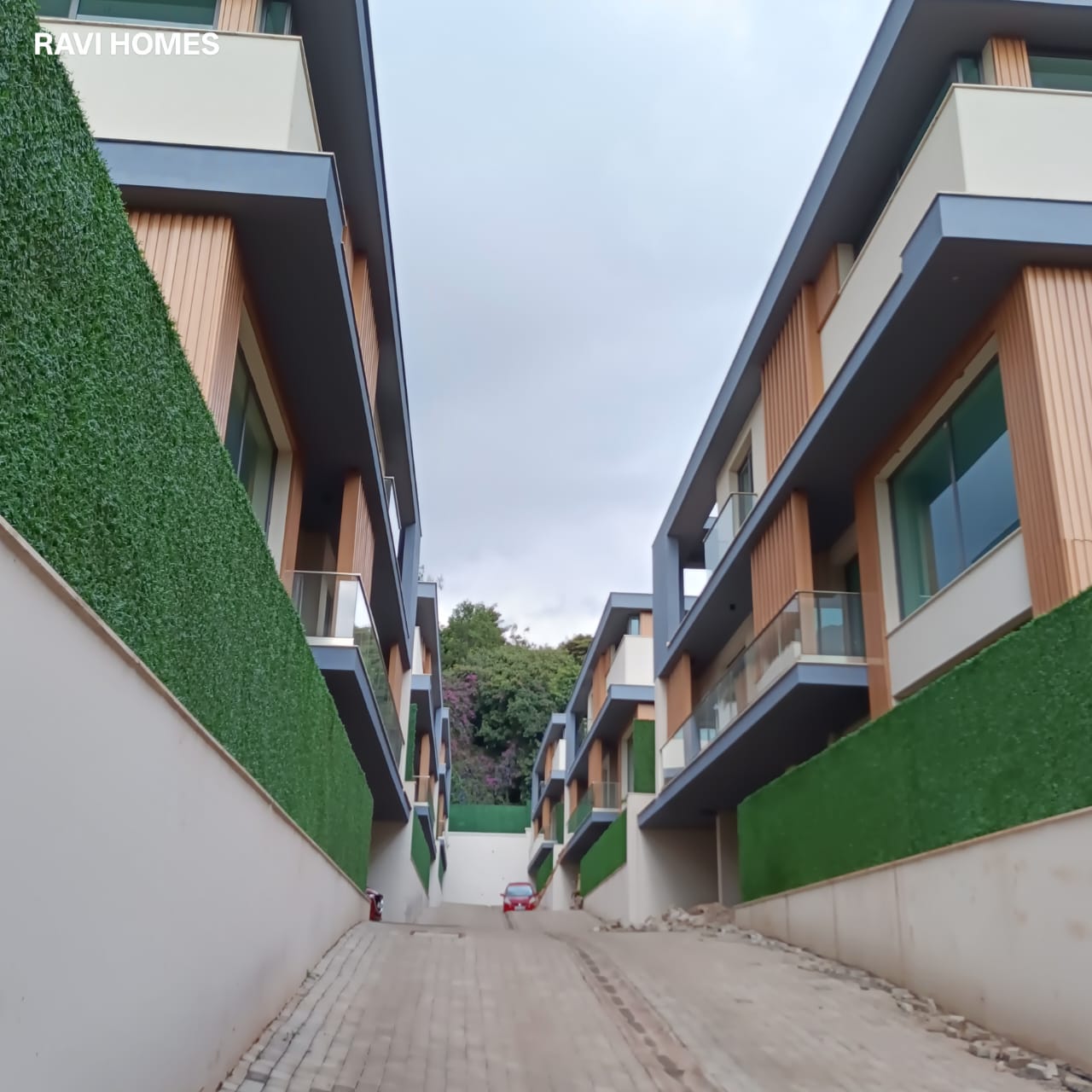 WhatsApp-Image-2026-01-31-at-11.49.05