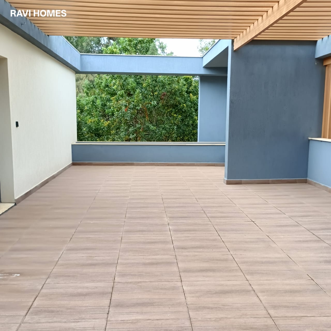 WhatsApp-Image-2026-01-31-at-11.49.06