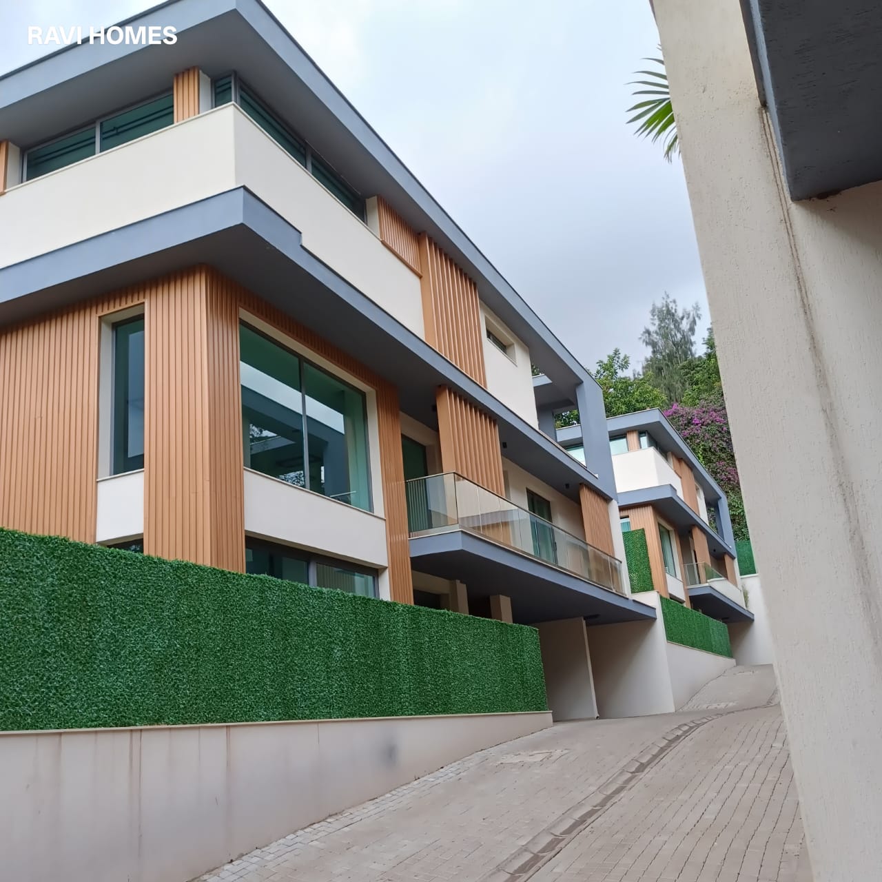 WhatsApp-Image-2026-01-31-at-11.49.23