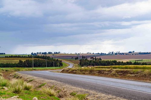 pexels-vince-pictures-2148675359-30255133